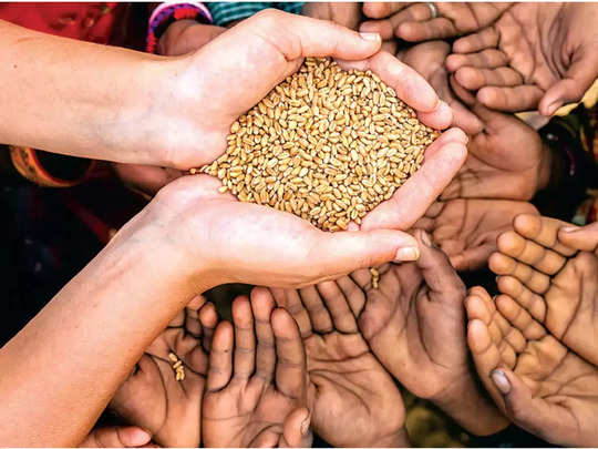 More and more farmers in the district should benefit from the large grain seeds