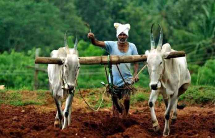 Farmers affected by Kharif season are urged to do e KYC for depositing funds in their bank accounts
