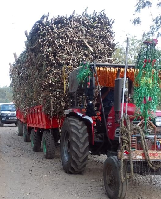 It is necessary to stop the dangerous transportation of sugarcane through Sangam Chowk